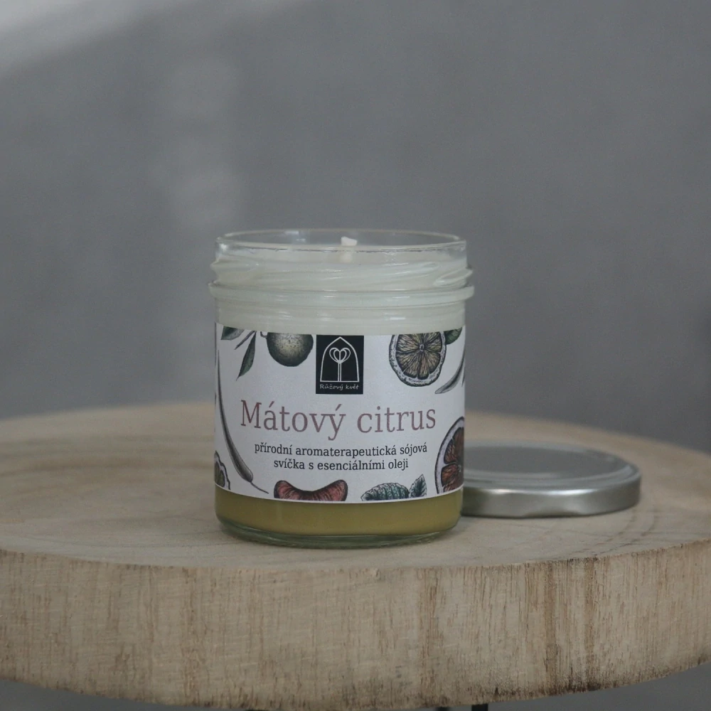 Aromaterapeutická sójová svíčka "Mátový citrus" 120 g