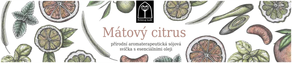 Aromaterapeutická sójová svíčka "Mátový citrus" 120 g