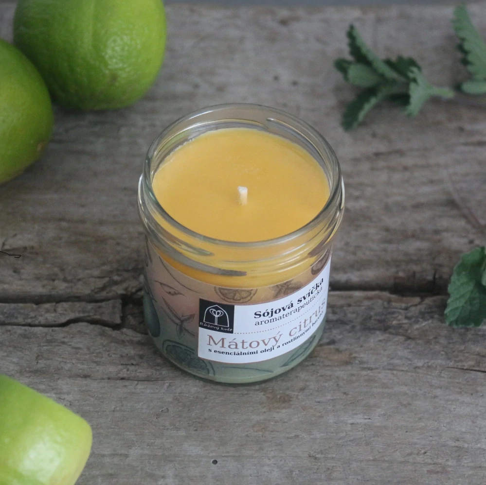 Aromaterapeutická sójová svíčka "Mátový citrus" 120 g