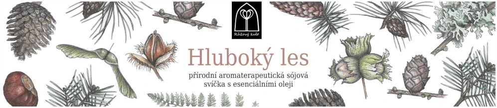 Aromaterapeutická sójová svíčka "Hluboký les" 120 g
