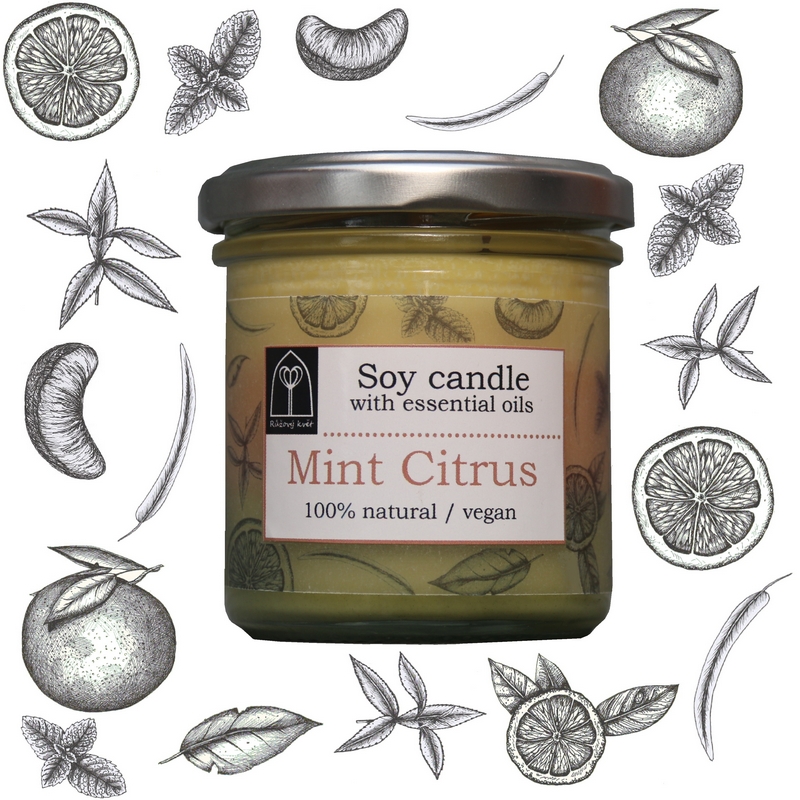 Aromaterapeutická sójová svíčka "Mátový citrus / Mint Citrus" 120 g